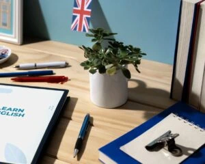 5 Best Series To Learn English in 2024